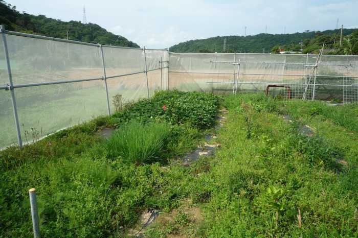 あやの荘 那覇