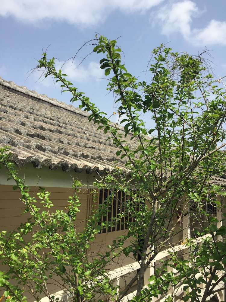 白浜ホテル 那覇