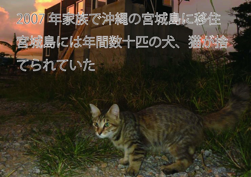 沖縄フリーダム 那覇