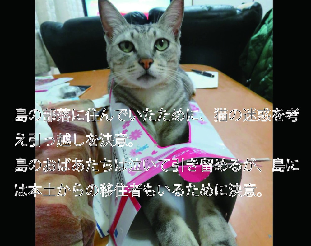 沖縄フリーダム 那覇