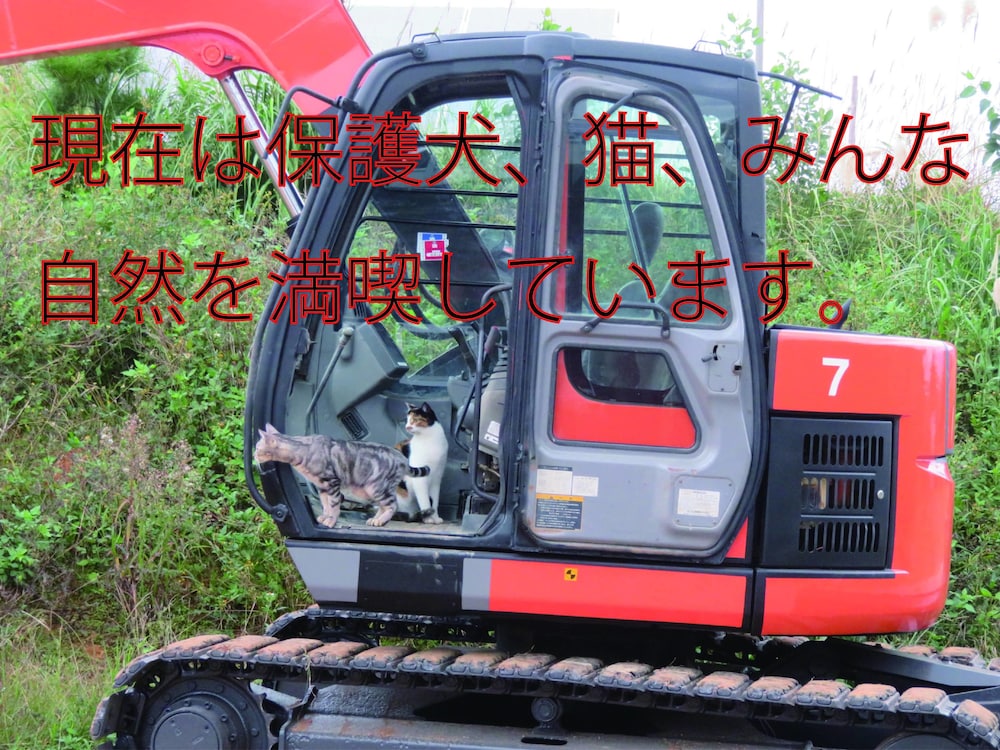 沖縄フリーダム 那覇