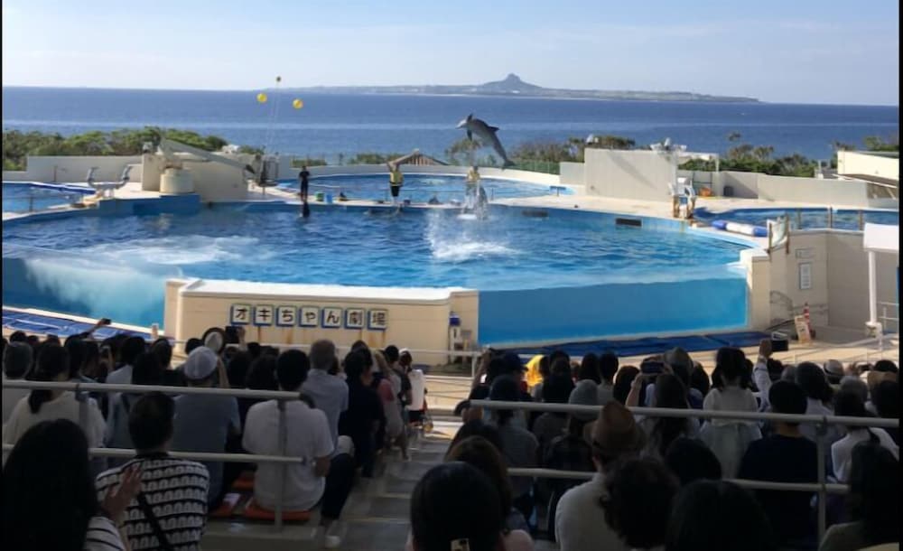 沖縄フリーダム 那覇