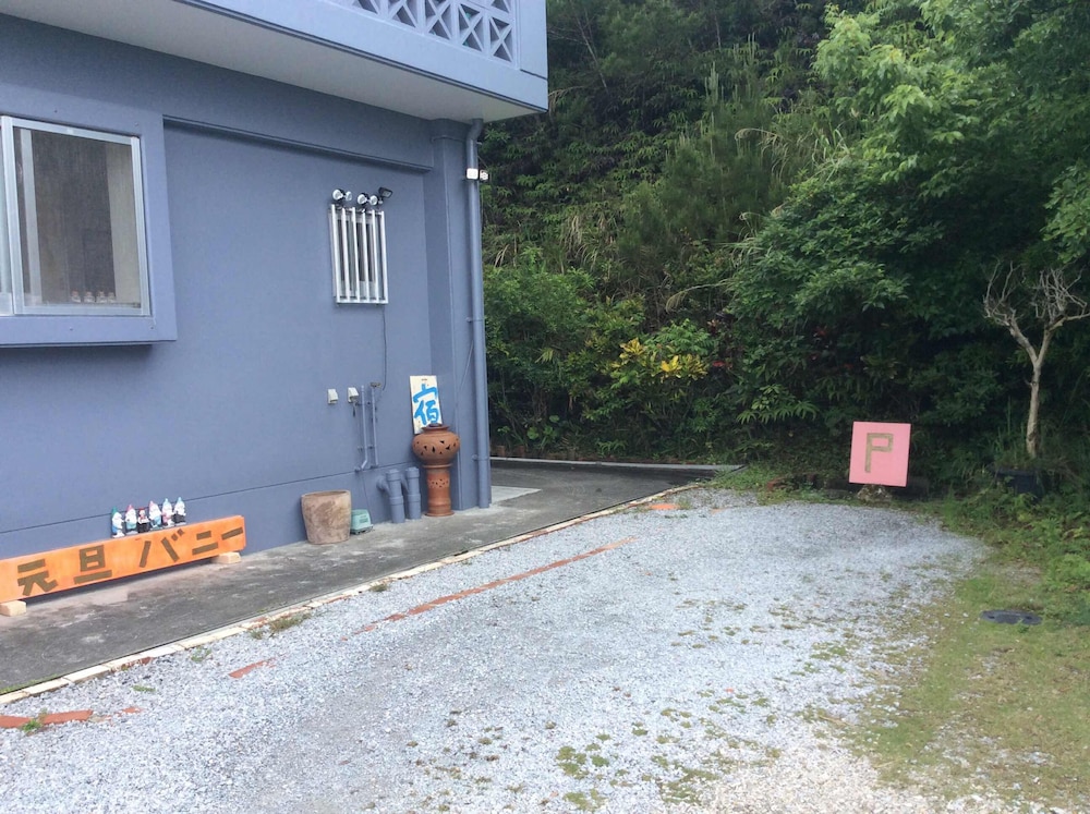 元旦バニー 那覇