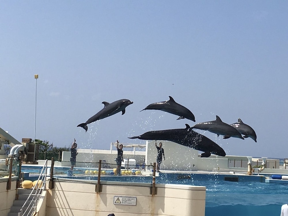 ぬちぐすいハウス 那覇