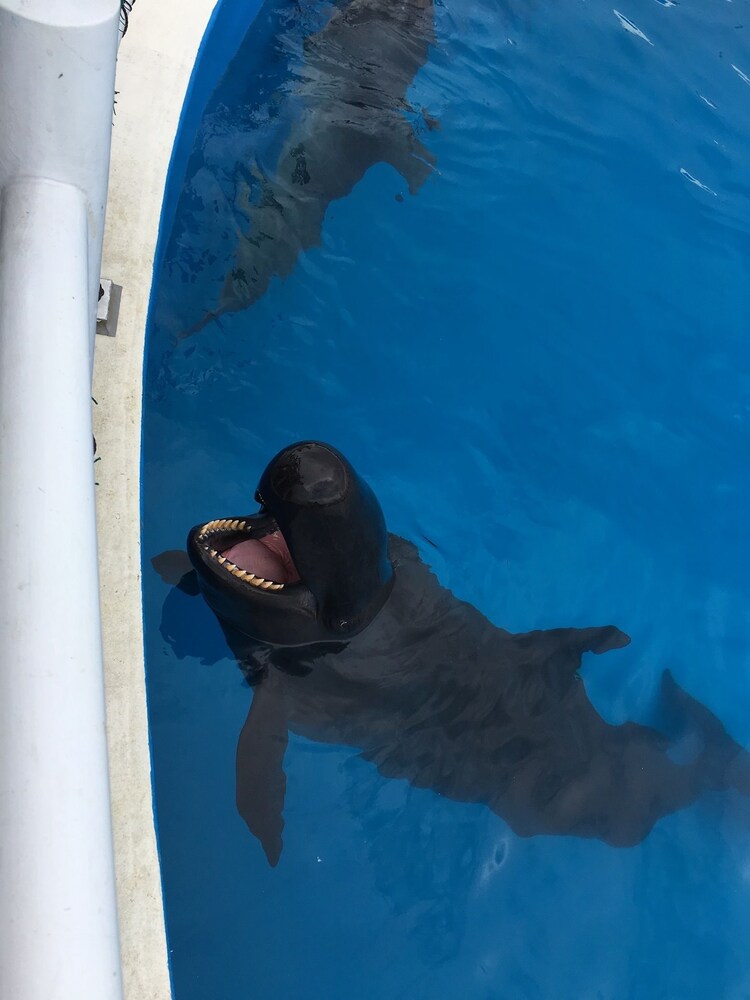 ぬちぐすいハウス 那覇