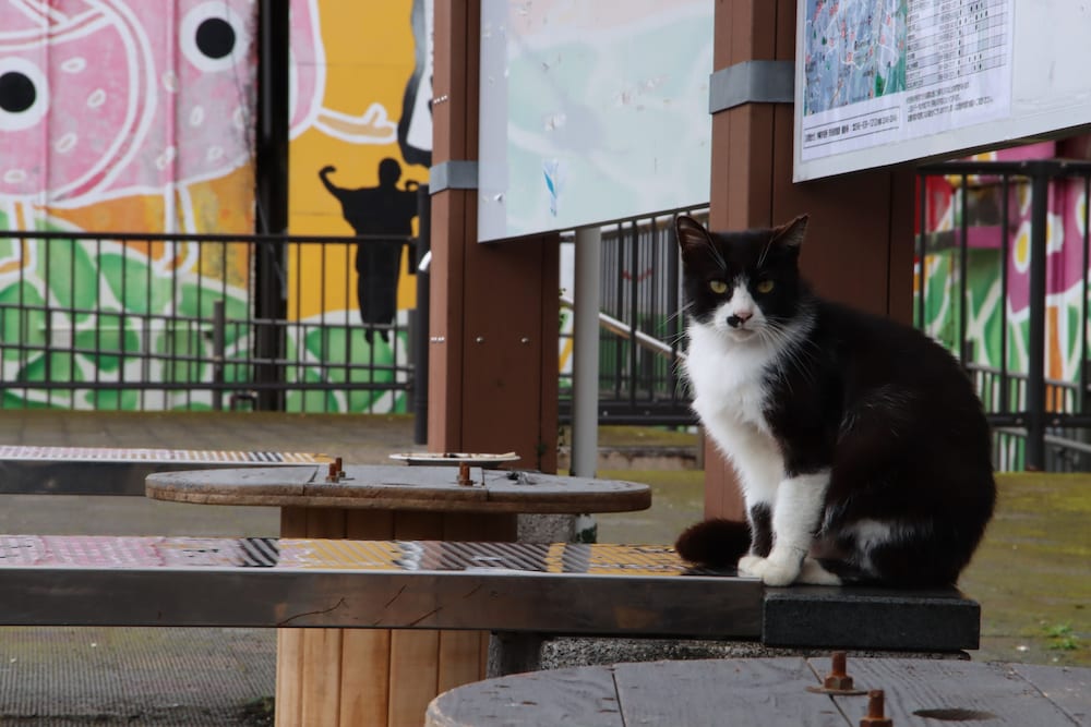 ごーやー荘 那覇