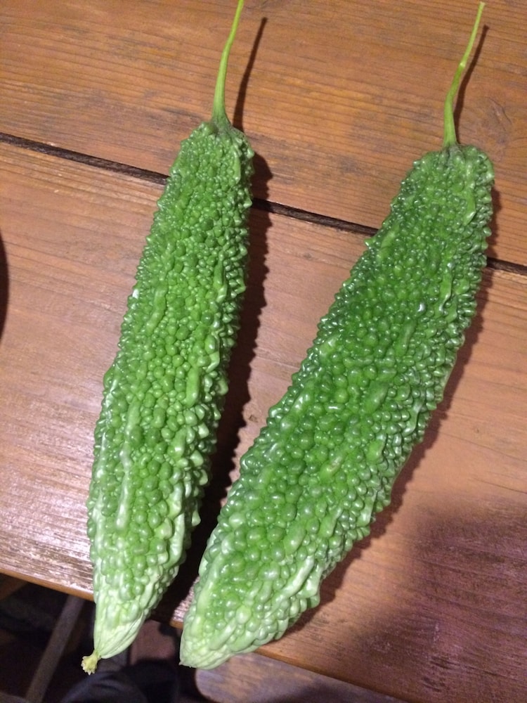 ごーやー荘 那覇