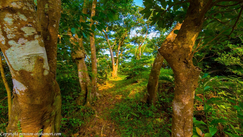 FOREST WEST 西 那覇