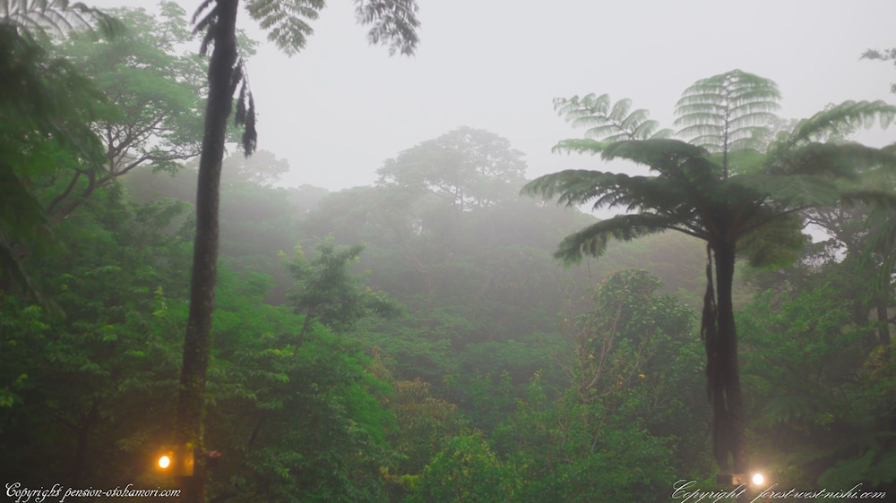 FOREST WEST 西 那覇
