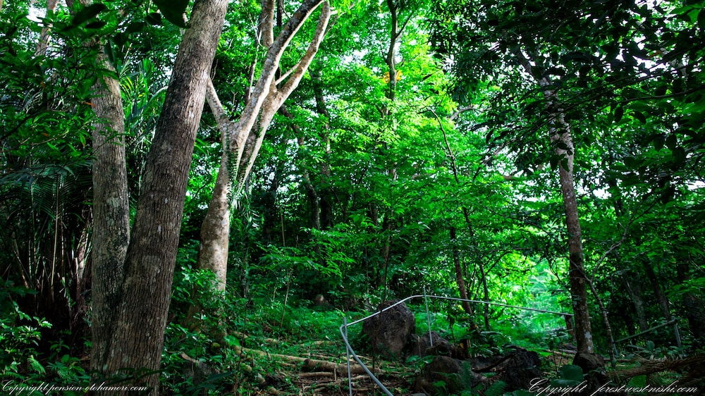 FOREST WEST 西 那覇