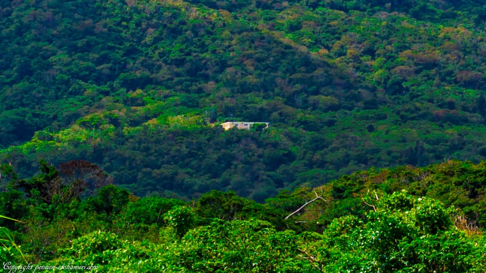 FOREST WEST 西 那覇