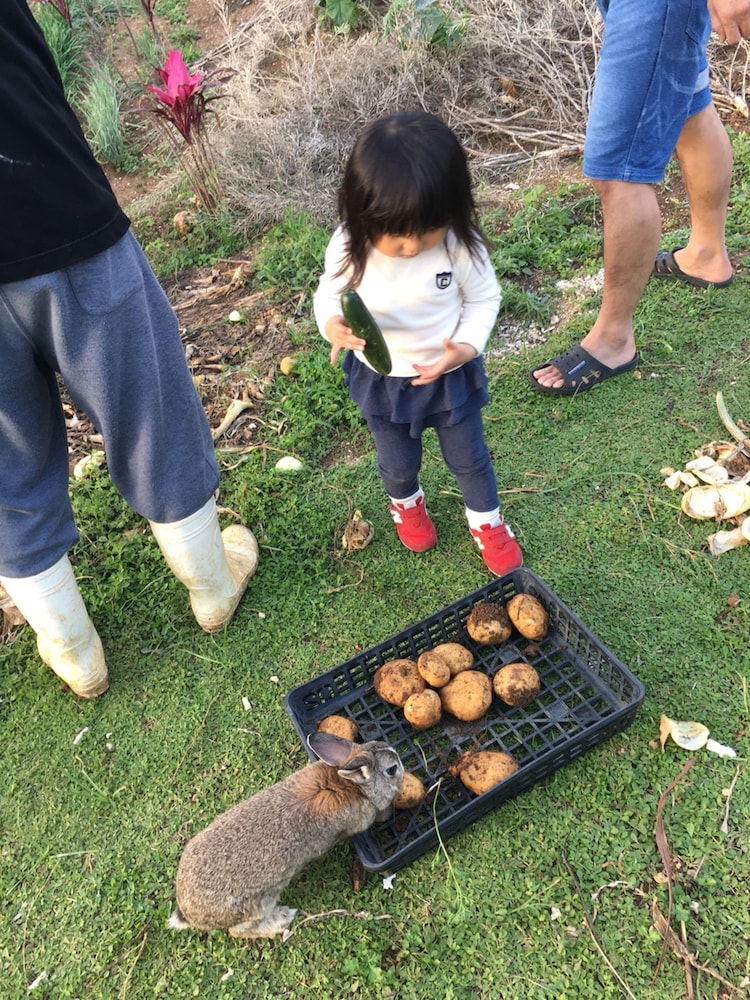 琉球の家 古宇利島 KANAU 那覇