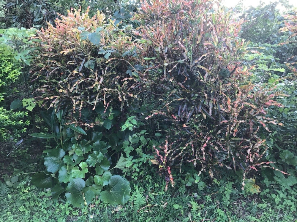 VACATION RENTAL KANIYA 那覇