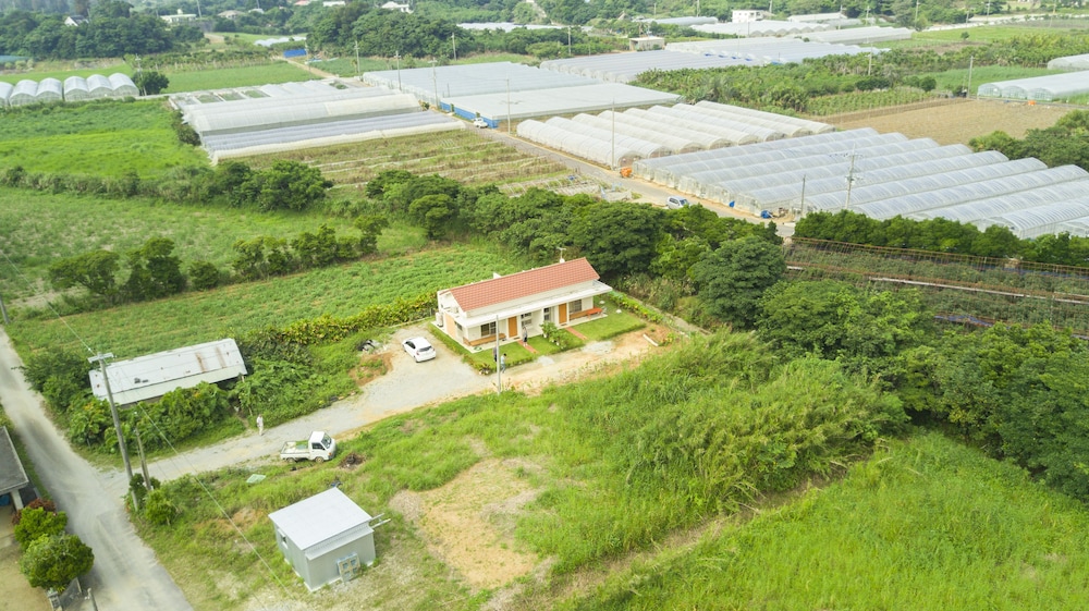 素泊まりの宿 かえるやぁ 那覇