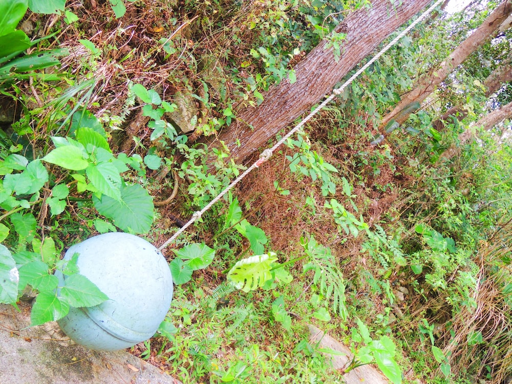 南の山の家 COTENCHI （コテンチ） 那覇