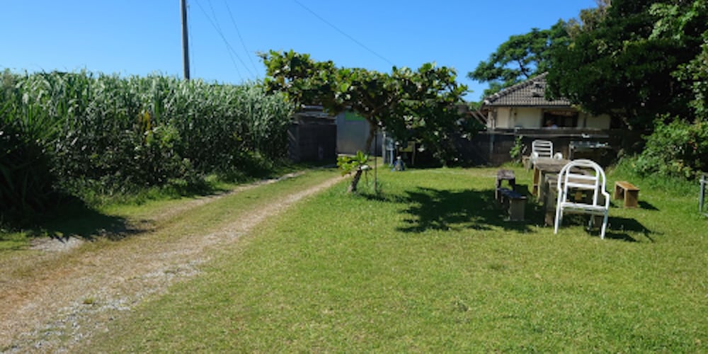 KOURIJIMA ぶどうの樹 那覇