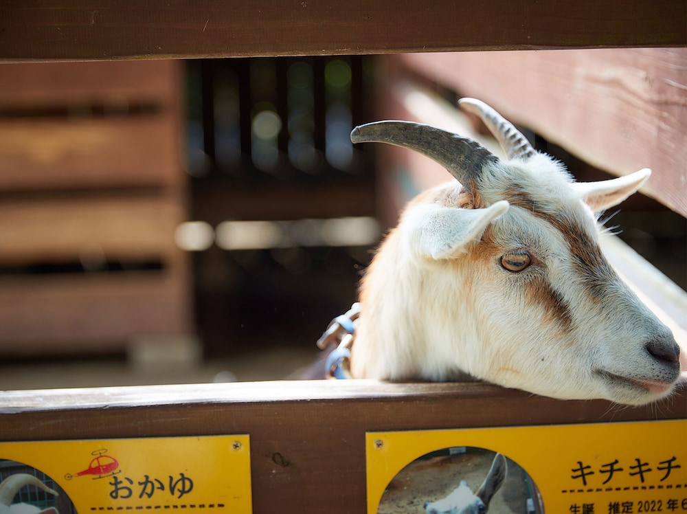 ホテル　むら咲むら 那覇