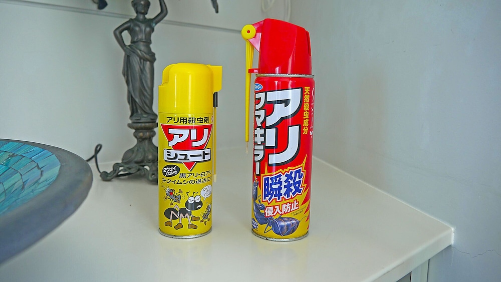 コーラルガーデン セブン プールス 那覇