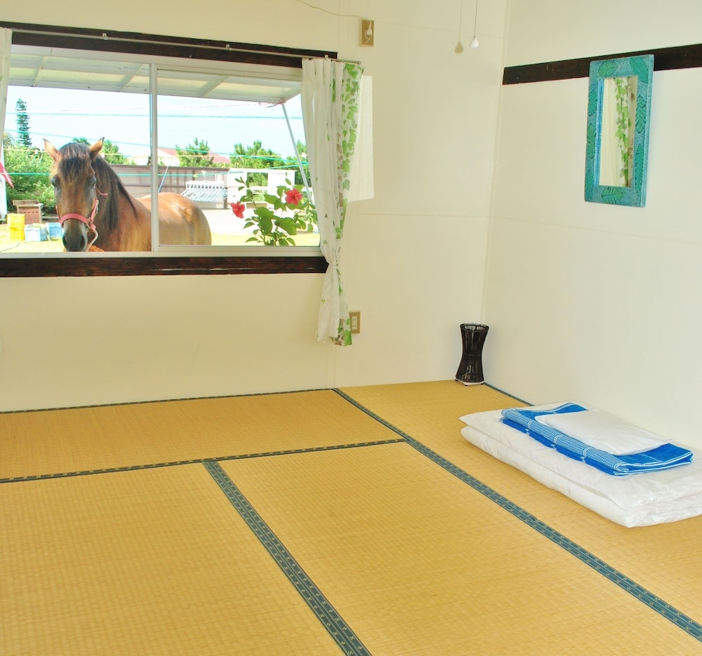西表島モンスーン 那覇