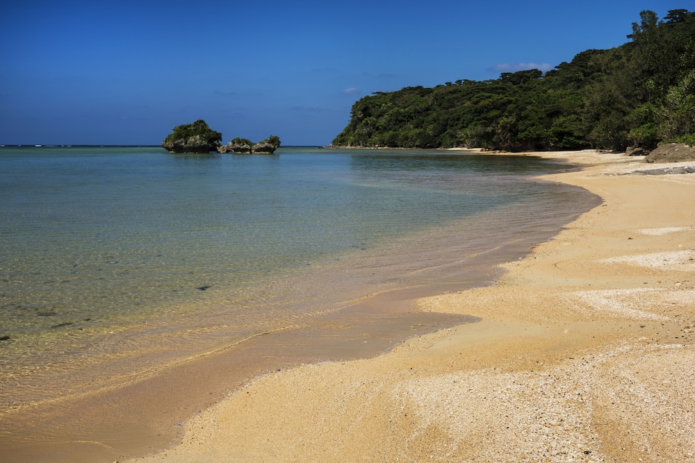 ホテル星立 西表島 那覇