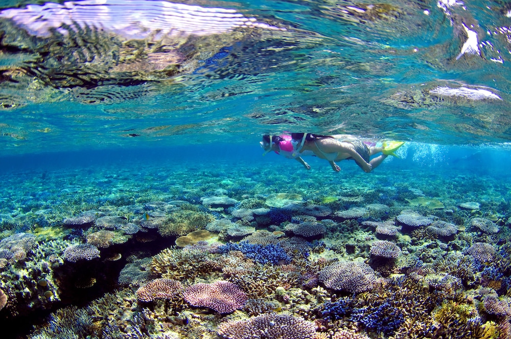 はいむるぶし 那覇