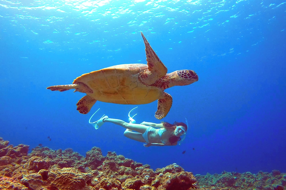 はいむるぶし 那覇