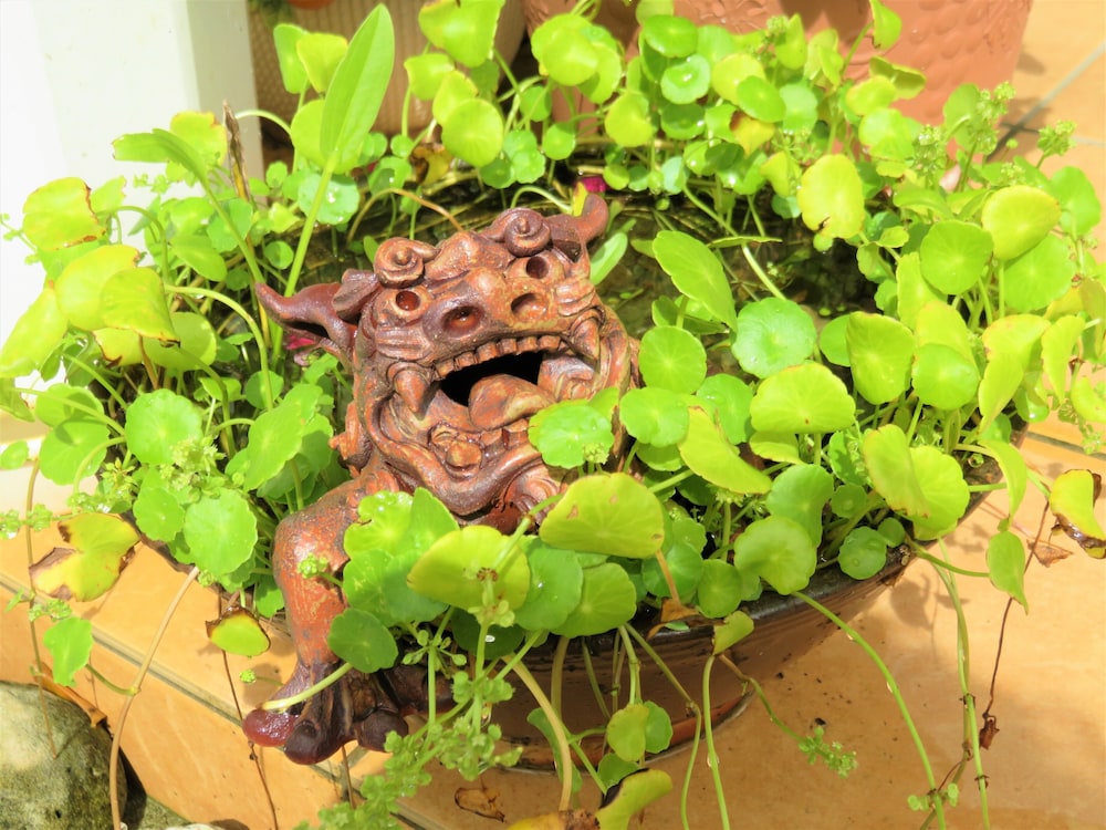 OKINAWA GUEST HOUSE URIZUN 那覇
