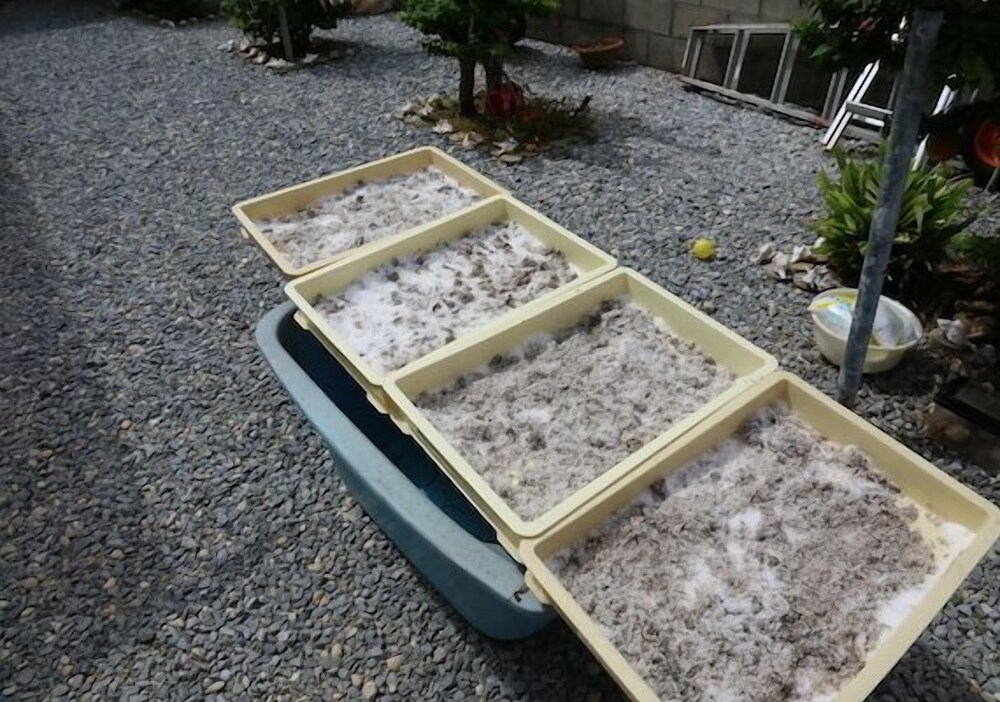 浜風 那覇