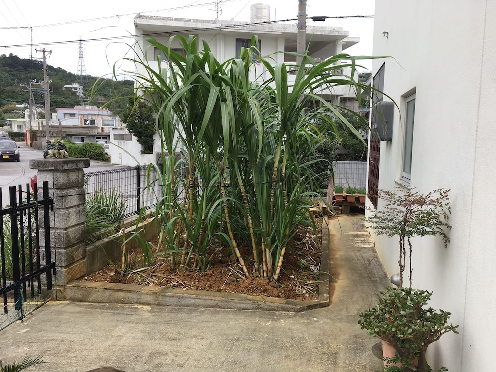 沖縄の宿 ゆんたく家 那覇