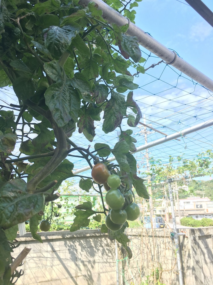 沖縄の宿 ゆんたく家 那覇