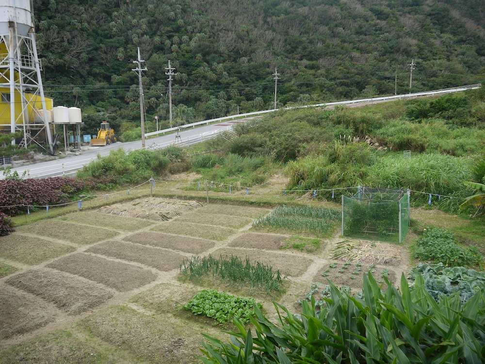 民宿かりゆし 那覇