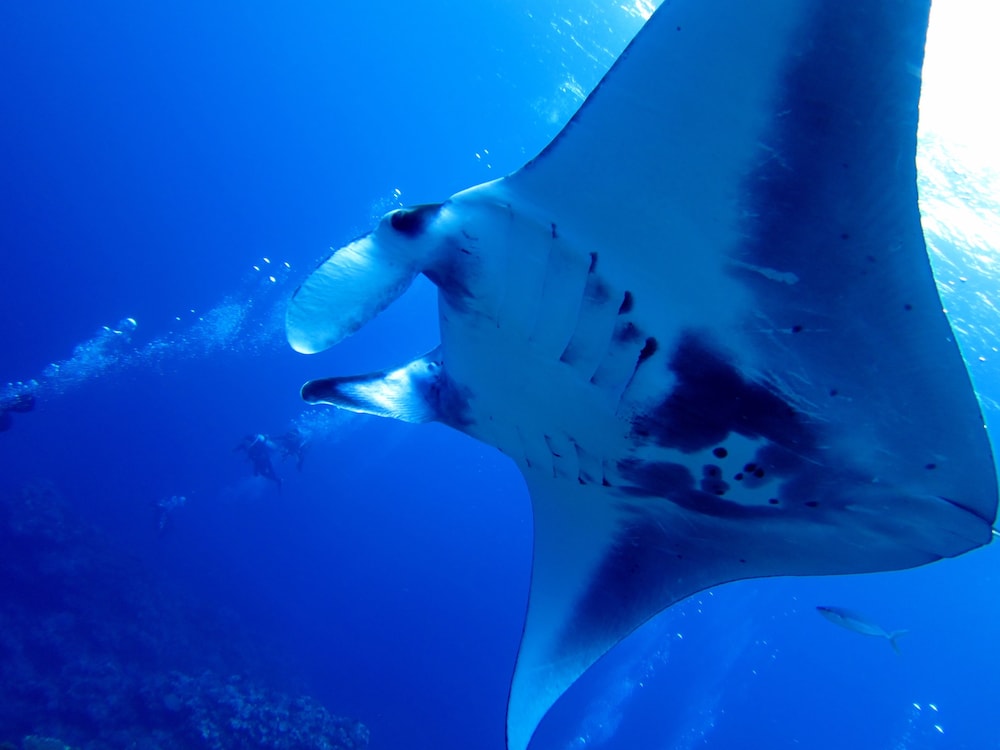 EN RESORT KUMEJIMA EEF BEACH HOTEL 那覇