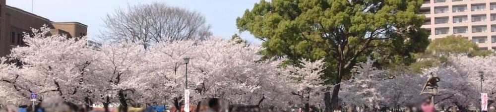 旅館名龍 名古屋