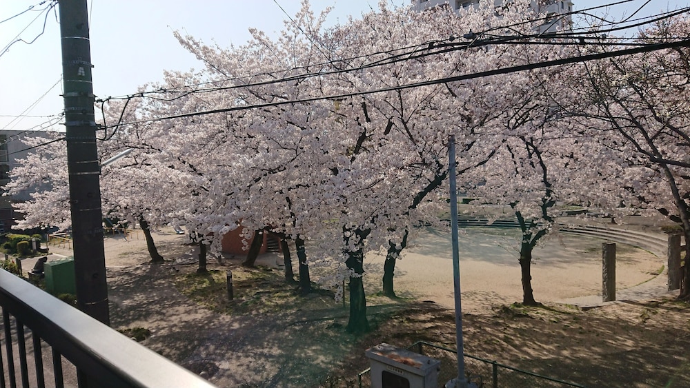 SHOW和の宿つちや 名古屋