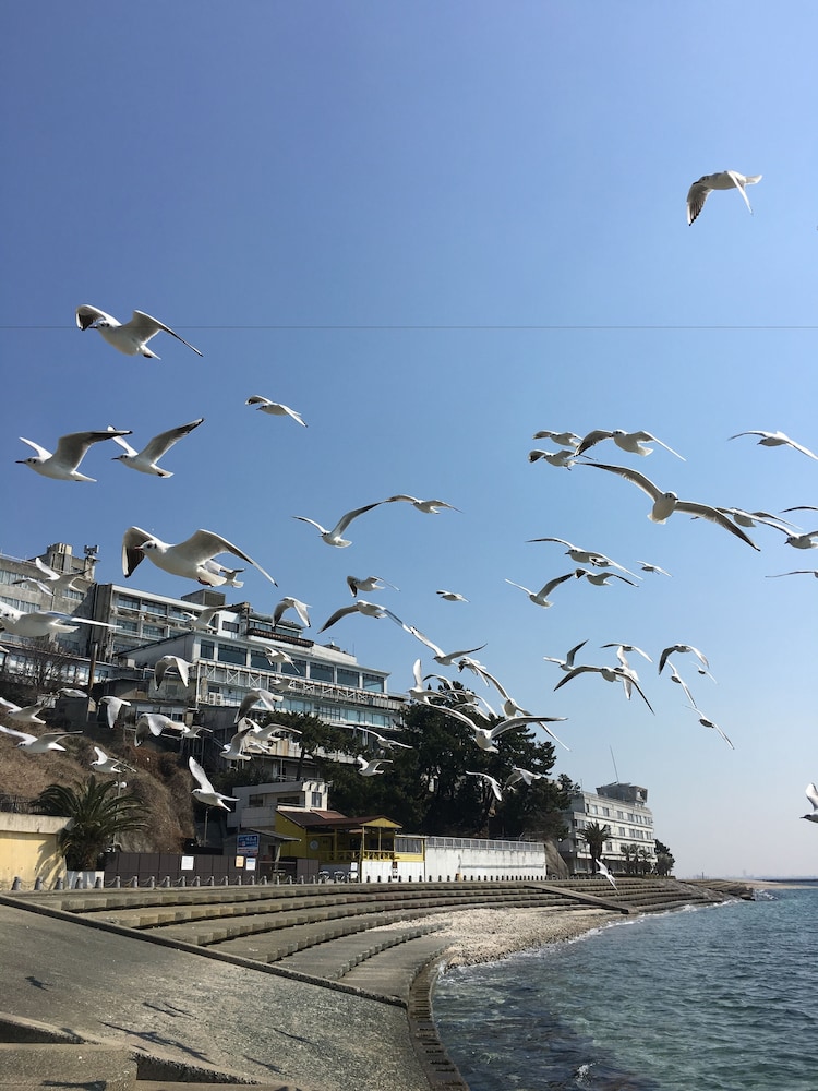 三谷温泉 松風園 名古屋