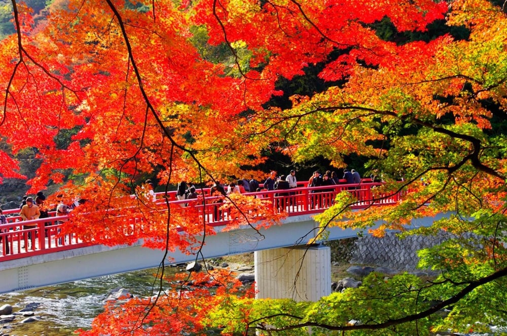 三交イン豊田 名古屋