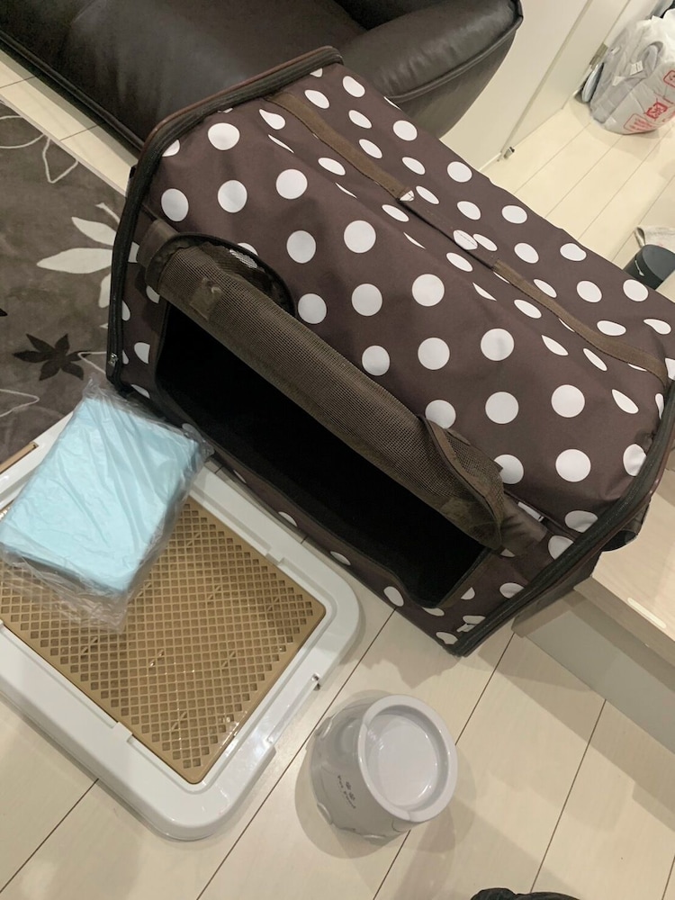 PORALIS 101 名古屋