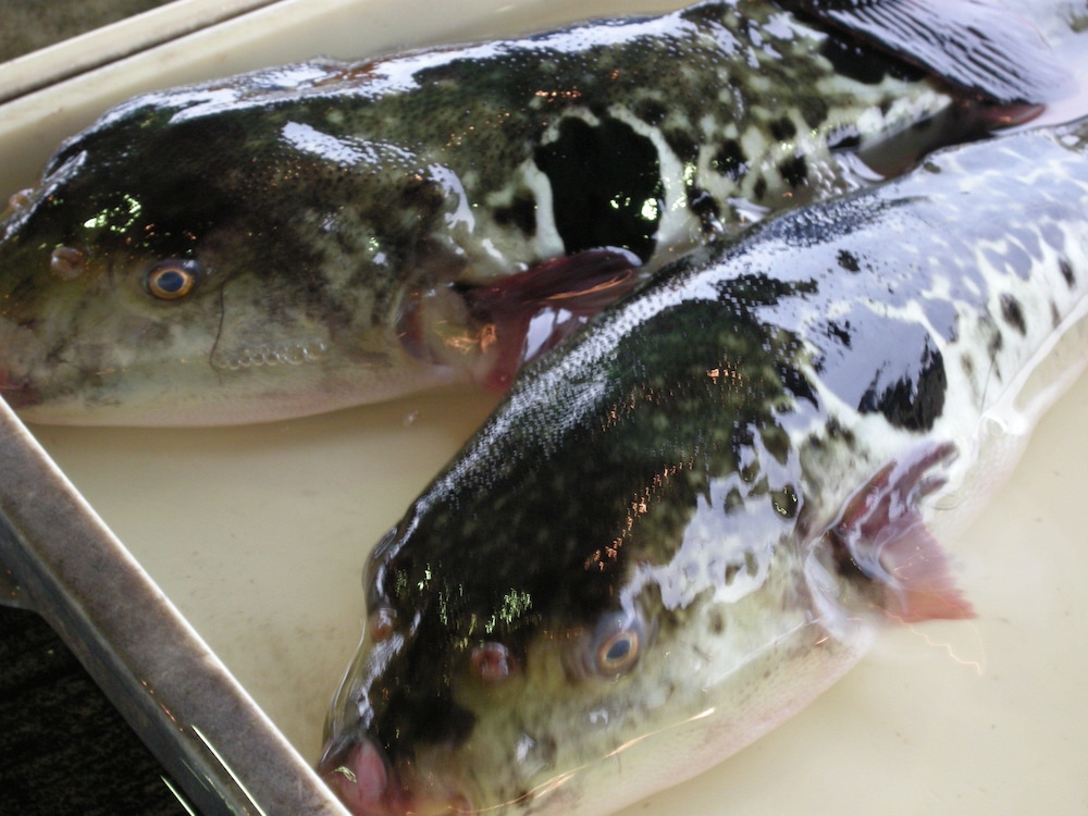 ホテル魚半日吉苑 名古屋