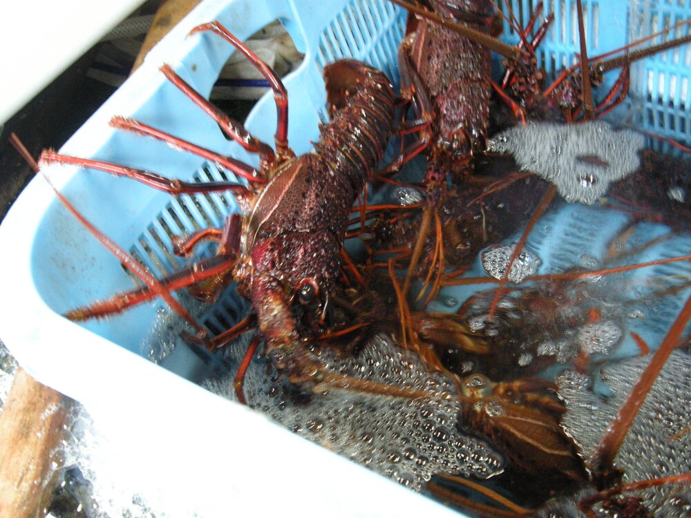 ホテル魚半日吉苑 名古屋