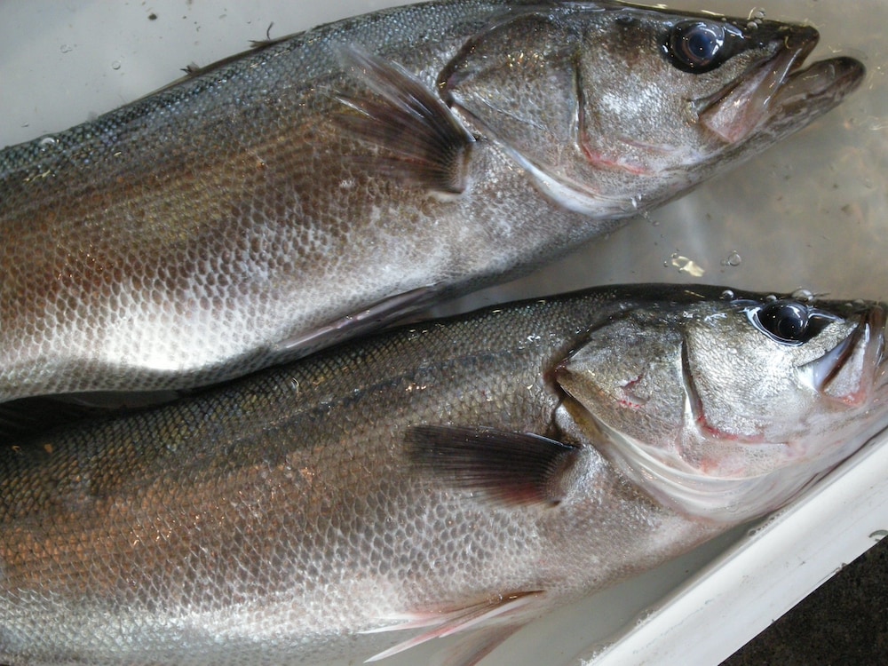ホテル魚半日吉苑 名古屋