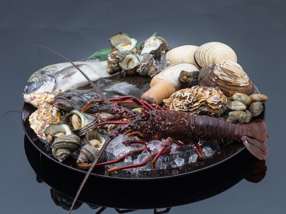 OYO旅館 恋路ヶ浜 黒潮 田原 伊良湖 名古屋