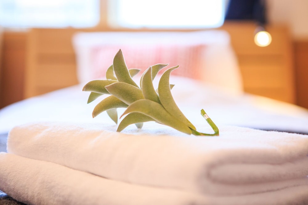 DAI 15 PROSPER APARTMENT 名古屋