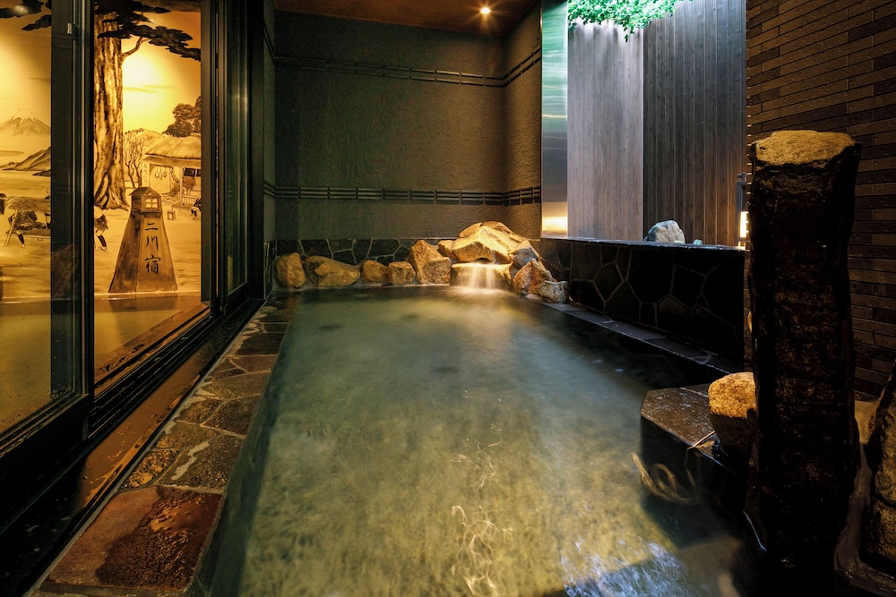 天然温泉 つつじの湯 ドーミーイン EXPRESS 豊橋 名古屋