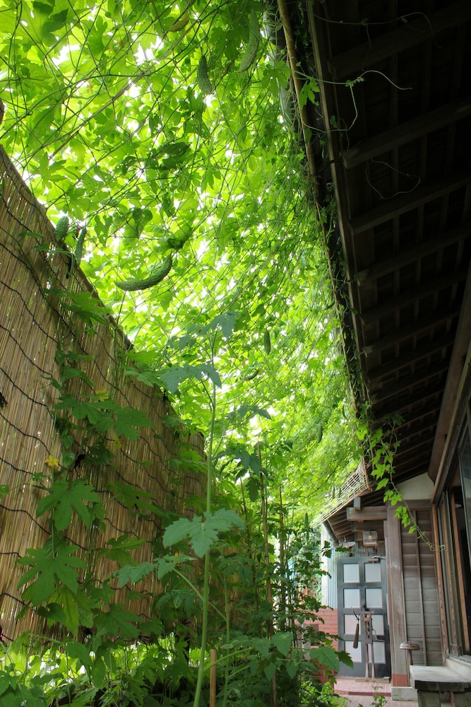亀時間 横浜