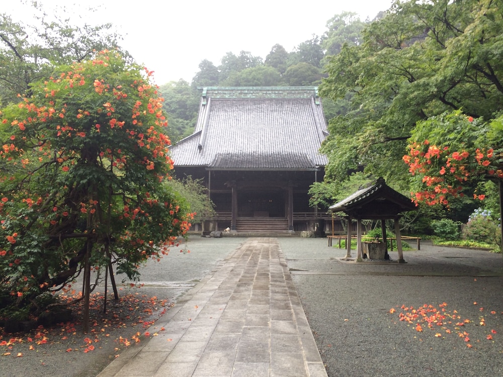 亀時間 横浜