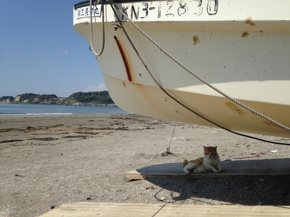 亀時間 横浜
