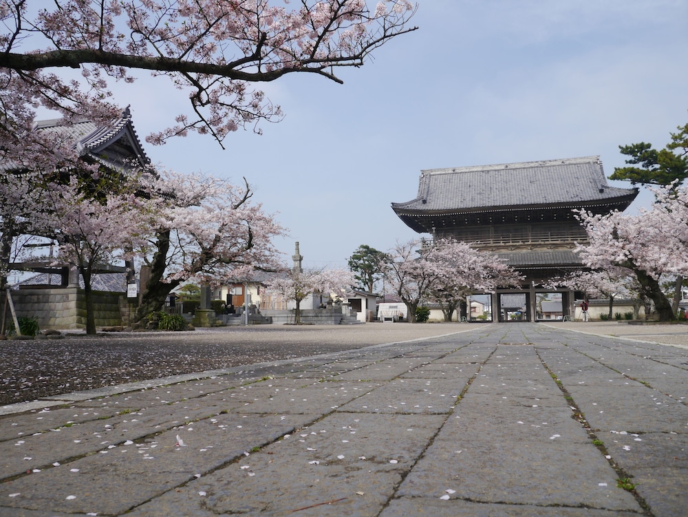 亀時間 横浜