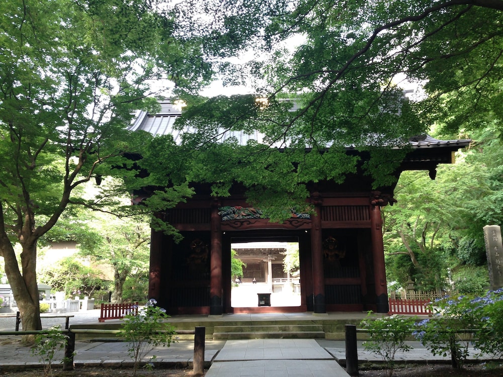 亀時間 横浜
