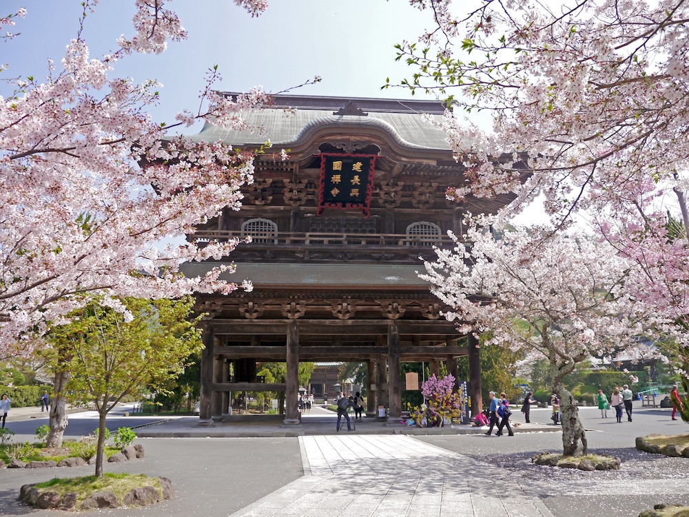 亀時間 横浜