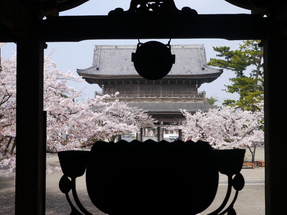 亀時間 横浜
